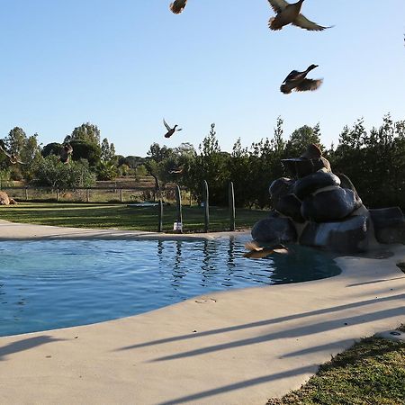 Ardea Purpurea Hotel Villamanrique De La Condesa Eksteriør billede