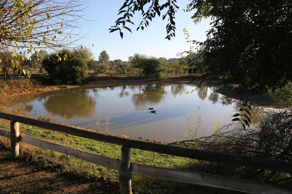 Ardea Purpurea Hotel Villamanrique De La Condesa Eksteriør billede