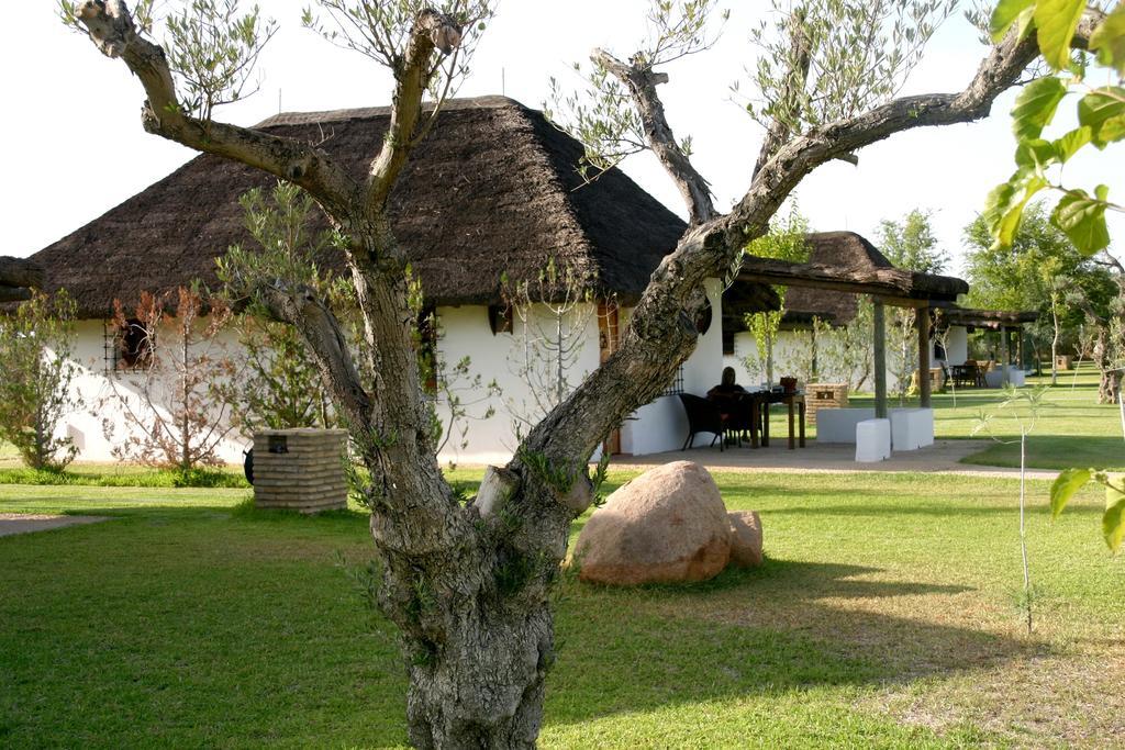 Ardea Purpurea Hotel Villamanrique De La Condesa Eksteriør billede
