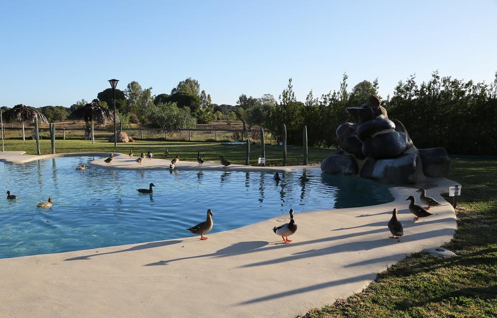 Ardea Purpurea Hotel Villamanrique De La Condesa Eksteriør billede